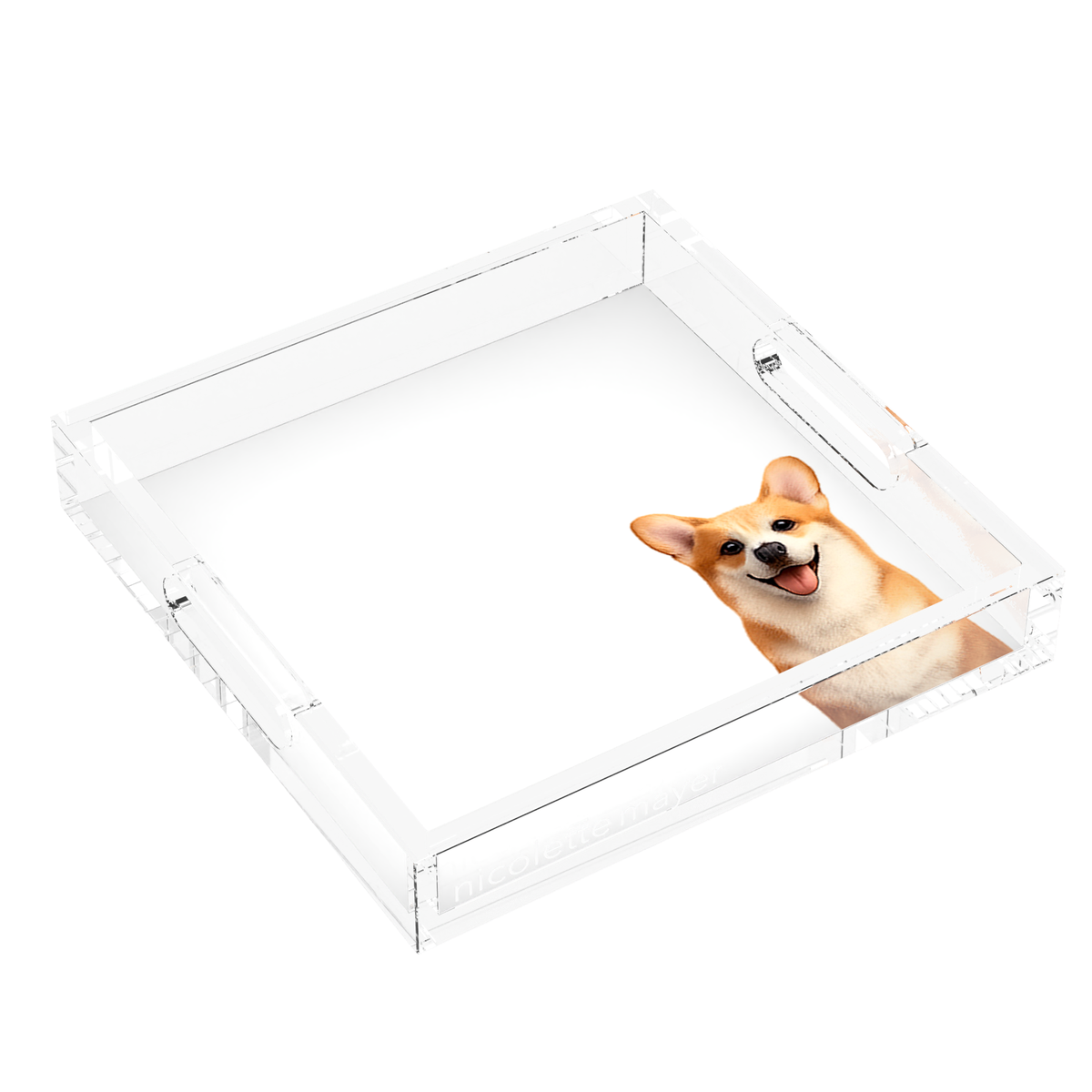 Corgi Dog Acrylic Decorative Tray, left three-quarter, by Nicolette Mayer