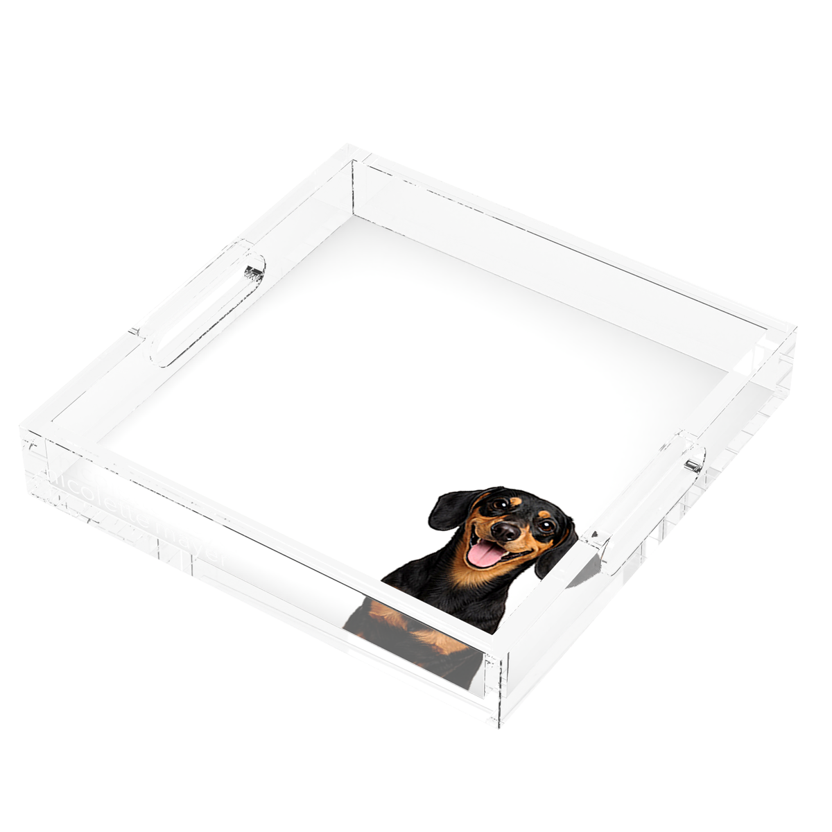 Dachshund Dog Acrylic Decorative Tray, right three-quarter, by Nicolette Mayer