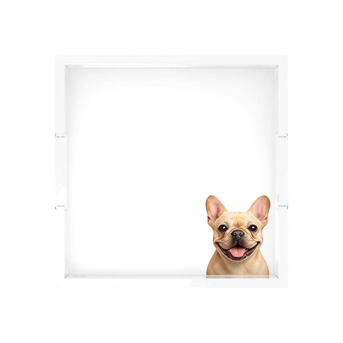 French Bulldog Acrylic Decorative Tray, overhead, by Nicolette Mayer