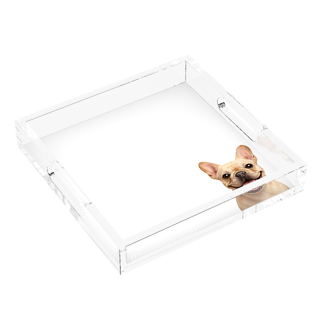French Bulldog Acrylic Decorative Tray, left three-quarter, by Nicolette Mayer