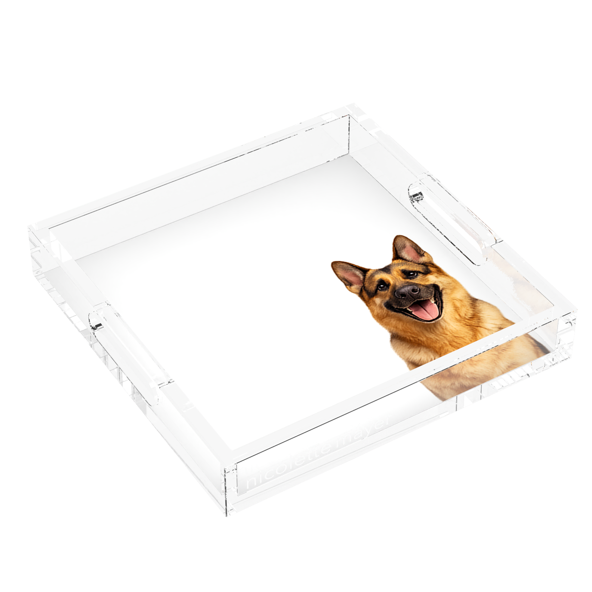 German Shepherd Dog Acrylic Decorative Tray, left three-quarter, by Nicolette Mayer