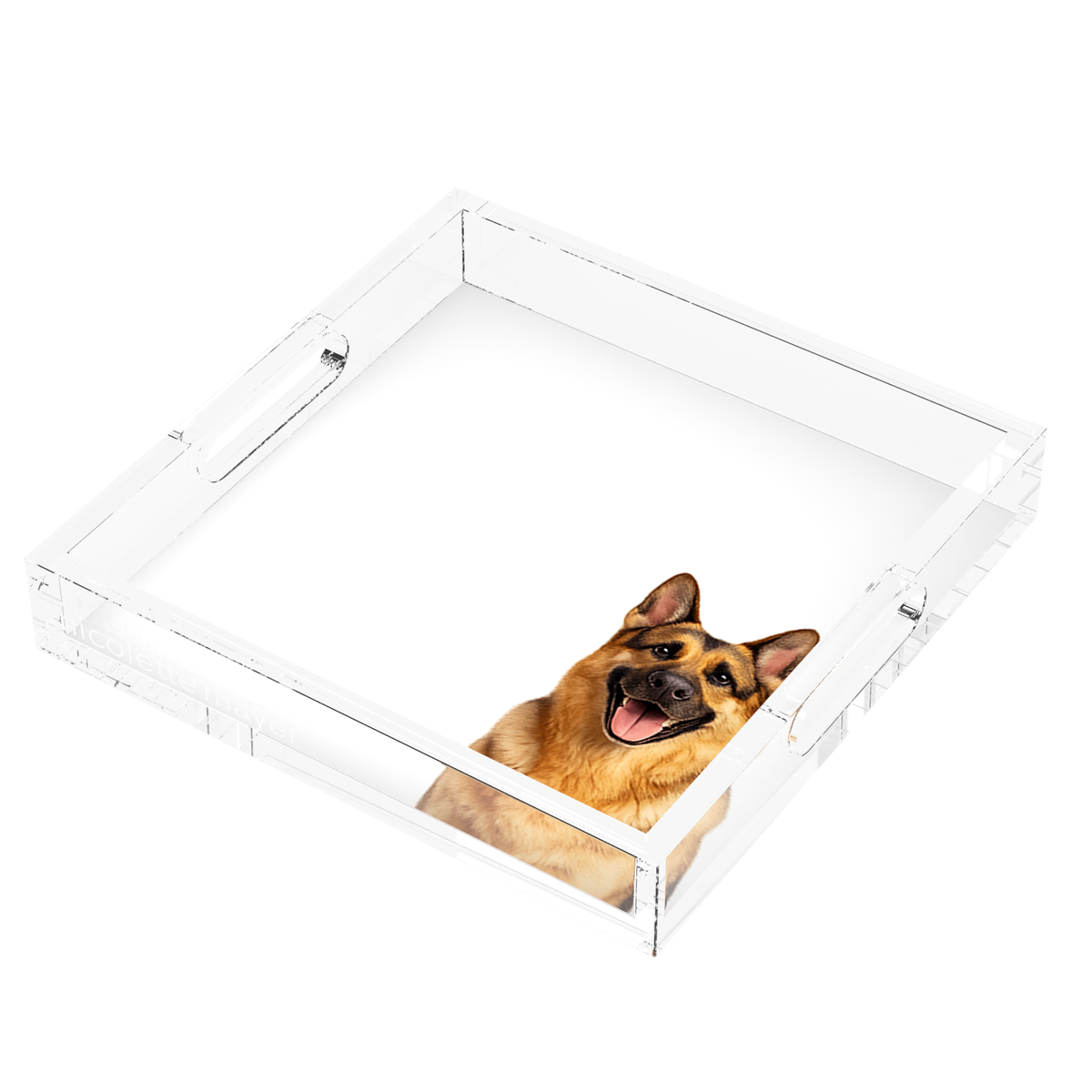 German Shepherd Dog Acrylic Decorative Tray, right three-quarter, by Nicolette Mayer