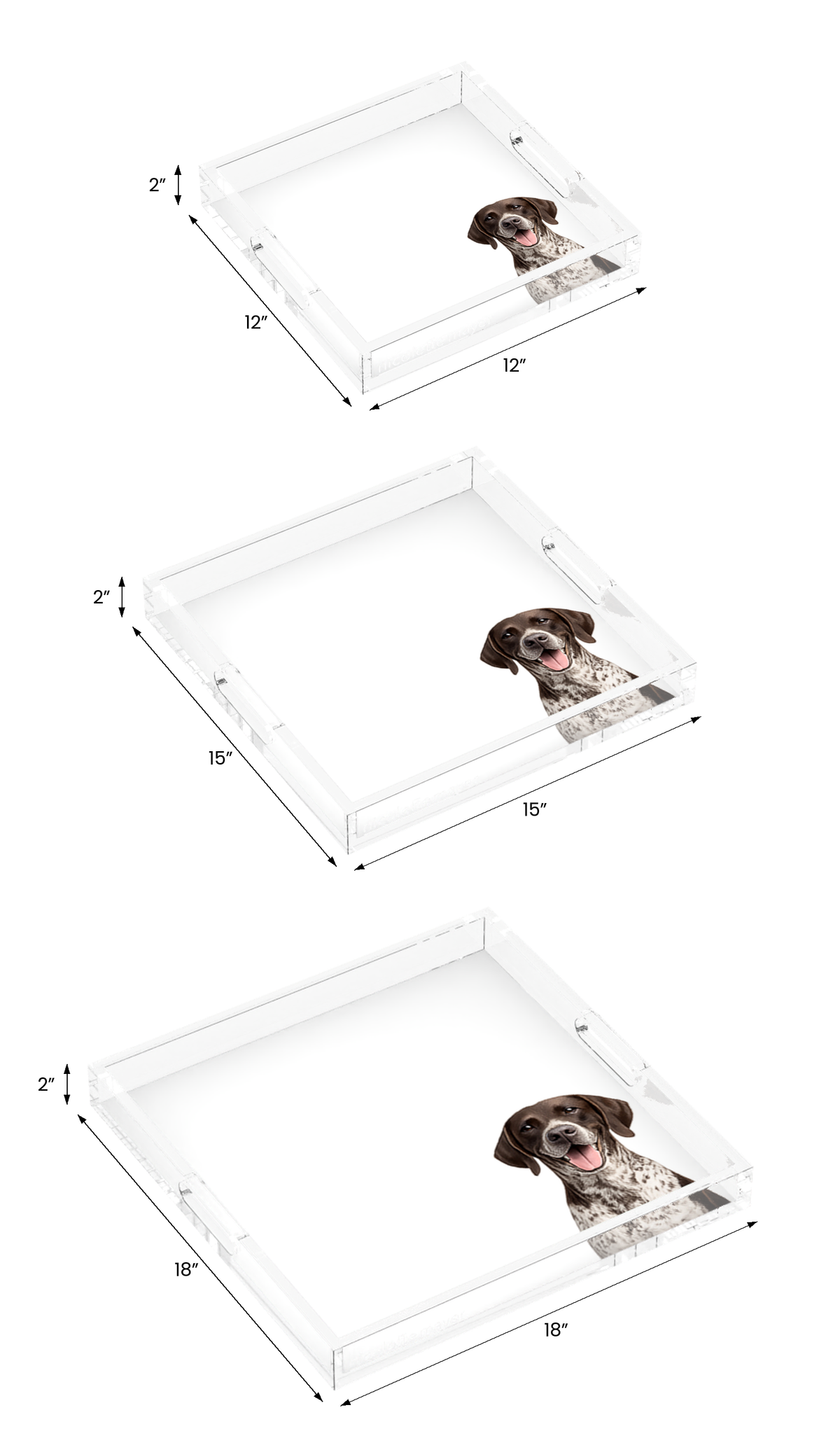German Shorthaired Pointer Dog Acrylic Decorative Tray, all three sizes, by Nicolette Mayer
