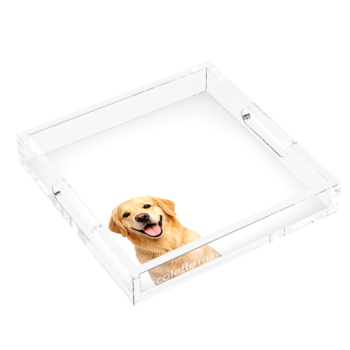 Golden Retriever Dog Acrylic Decorative Tray, left three-quarter, by Nicolette Mayer