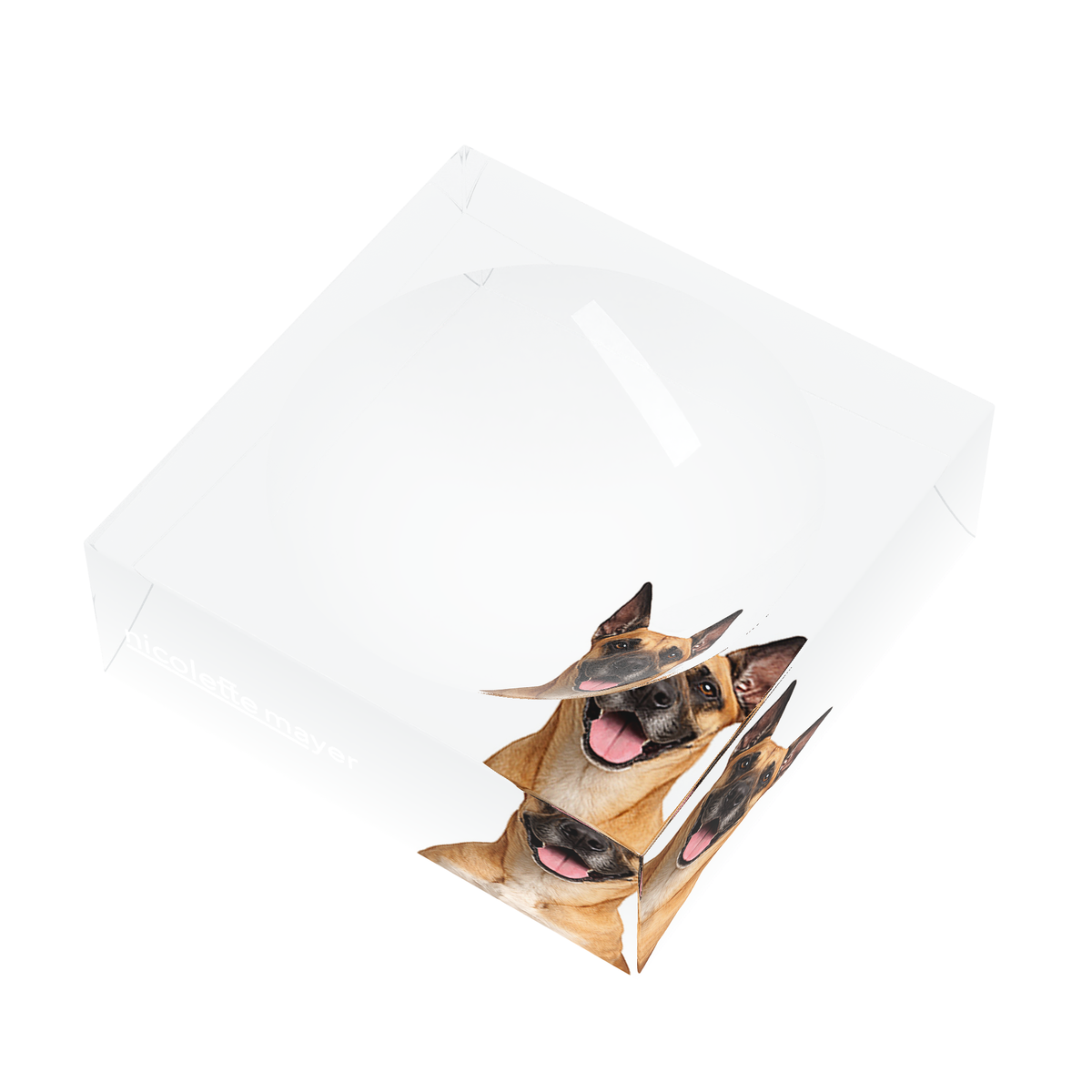 Great Dane Dog Acrylic Candy Catchall Dish, right three-quarter, by Nicolette Mayer