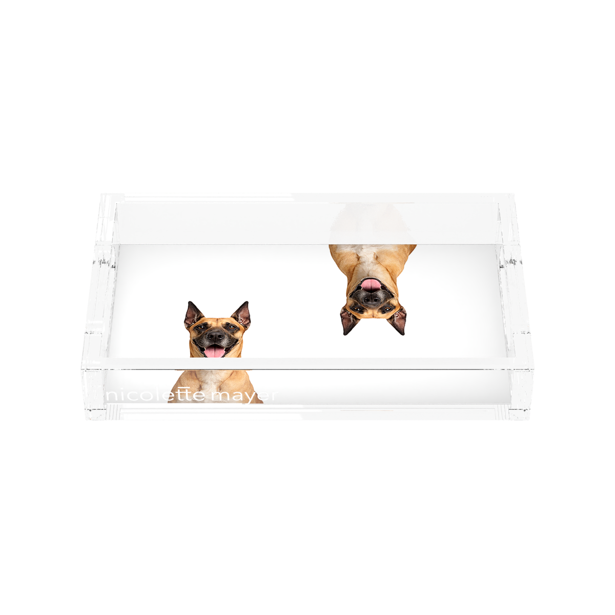 Great Dane Dog Acrylic Rectangle Tray, front, by Nicolette Mayer