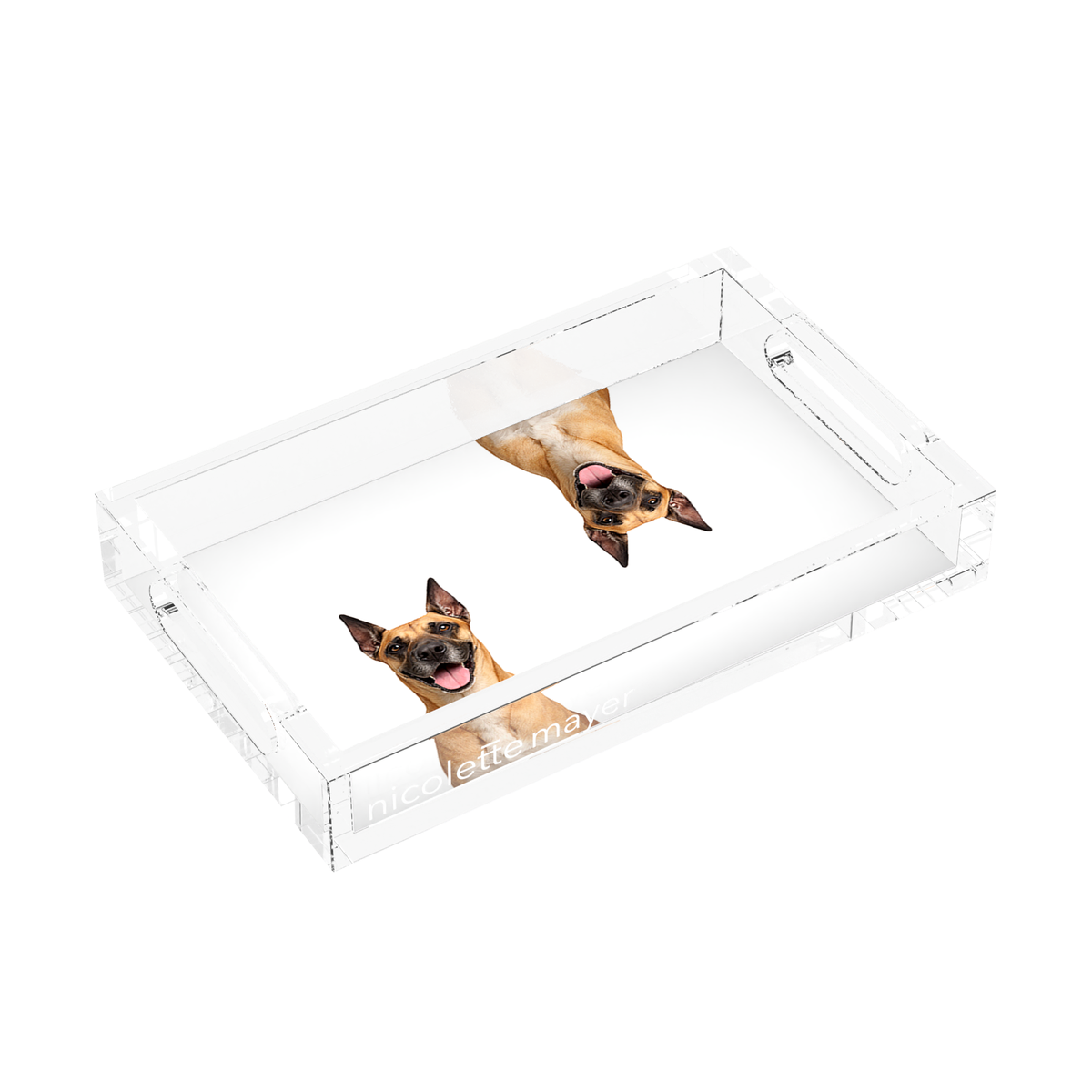 Great Dane Dog Acrylic Rectangle Tray, left three-quarter, by Nicolette Mayer