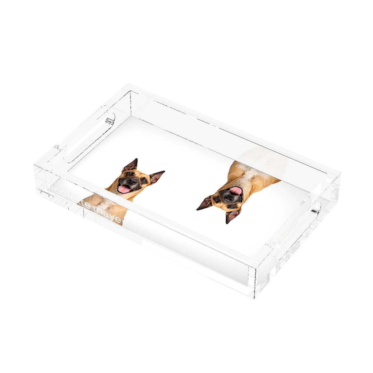 Great Dane Dog Acrylic Rectangle Tray, right three-quarter, by Nicolette Mayer