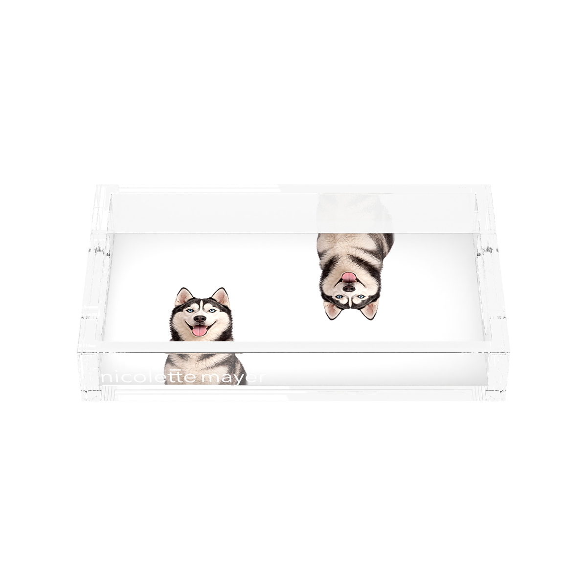 Husky Dog Acrylic Rectangle Tray, front, by Nicolette Mayer