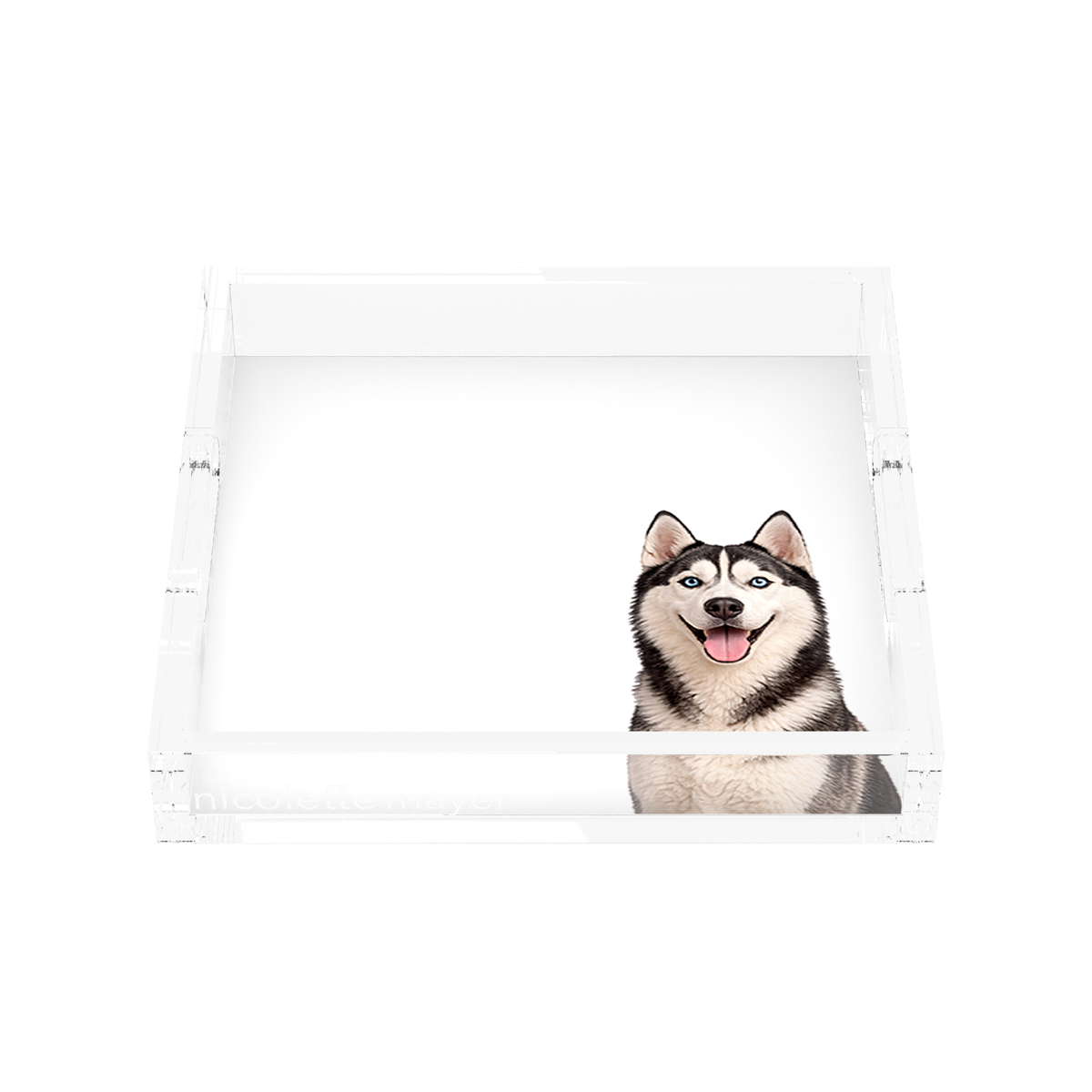 Husky Dog Acrylic Decorative Tray, front, by Nicolette Mayer