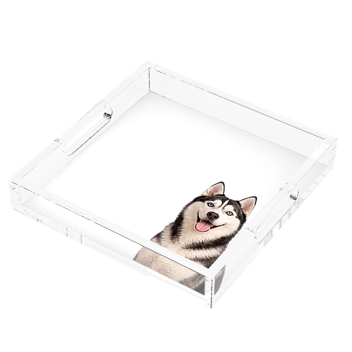 Husky Dog Acrylic Decorative Tray, right three-quarter, by Nicolette Mayer