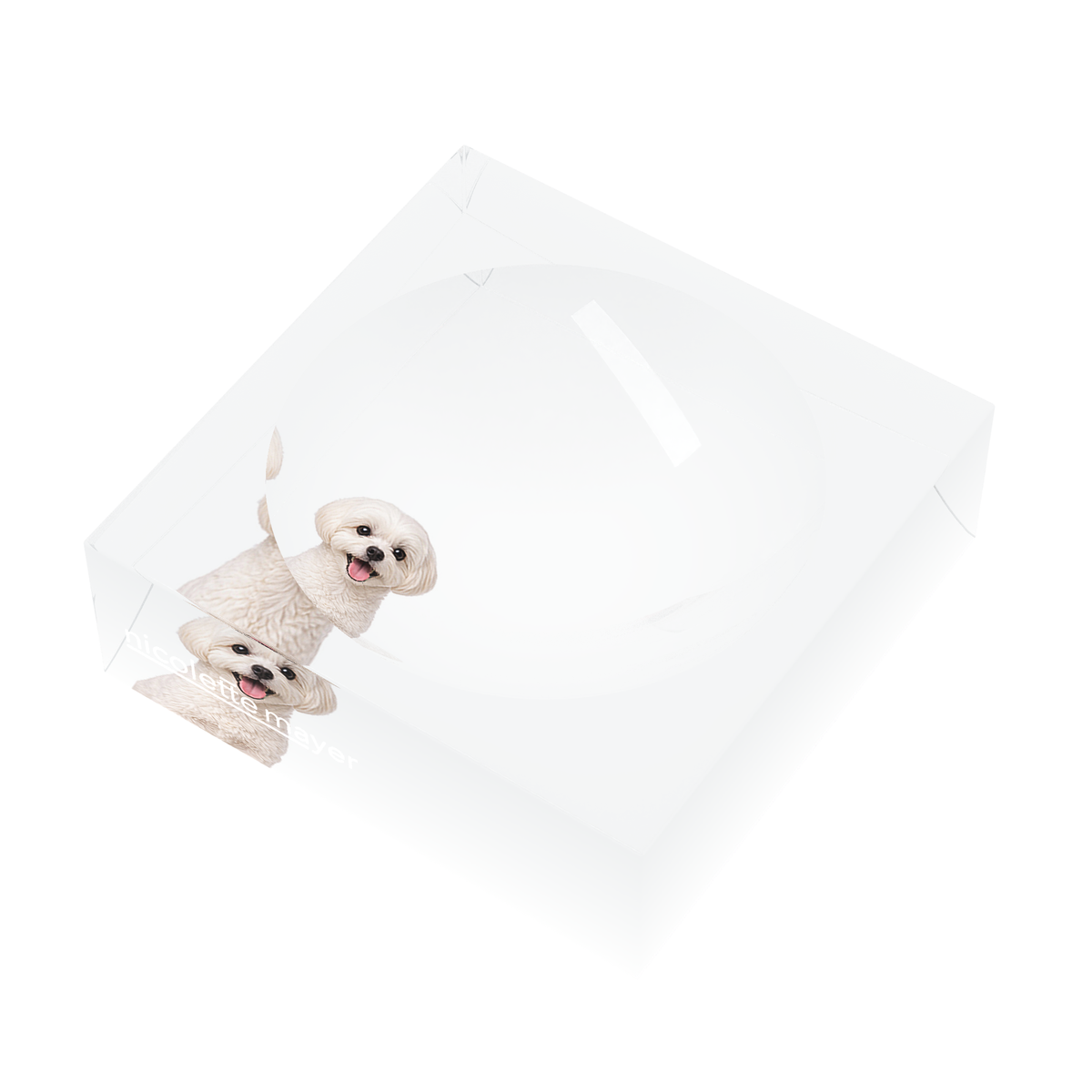 Maltese Dog Acrylic Candy Catchall Dish, right three-quarter, by Nicolette Mayer