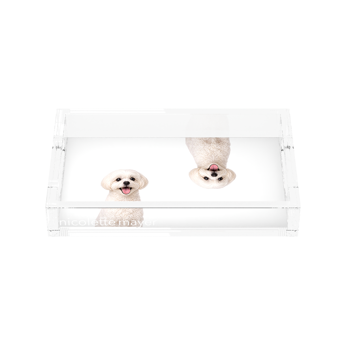 Maltese Dog Acrylic Rectangle Tray, front, by Nicolette Mayer