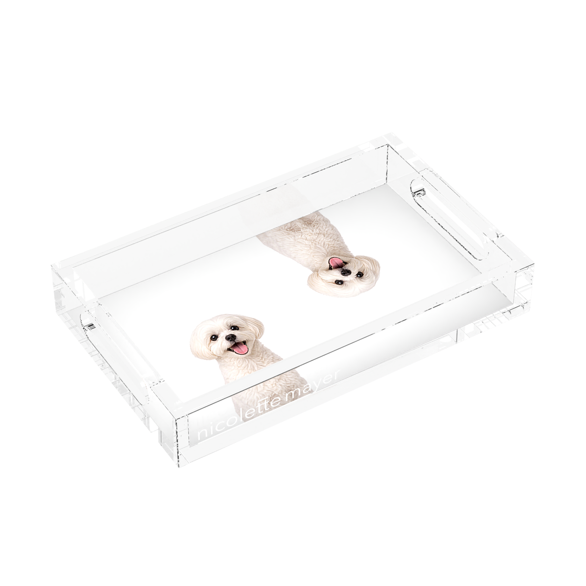 Maltese Dog Acrylic Rectangle Tray, left three-quarter, by Nicolette Mayer