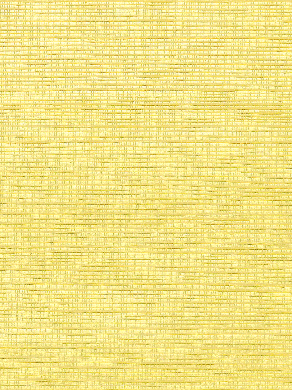Metallica Grasscloth Butter, Per Yard - nicolettemayer.com