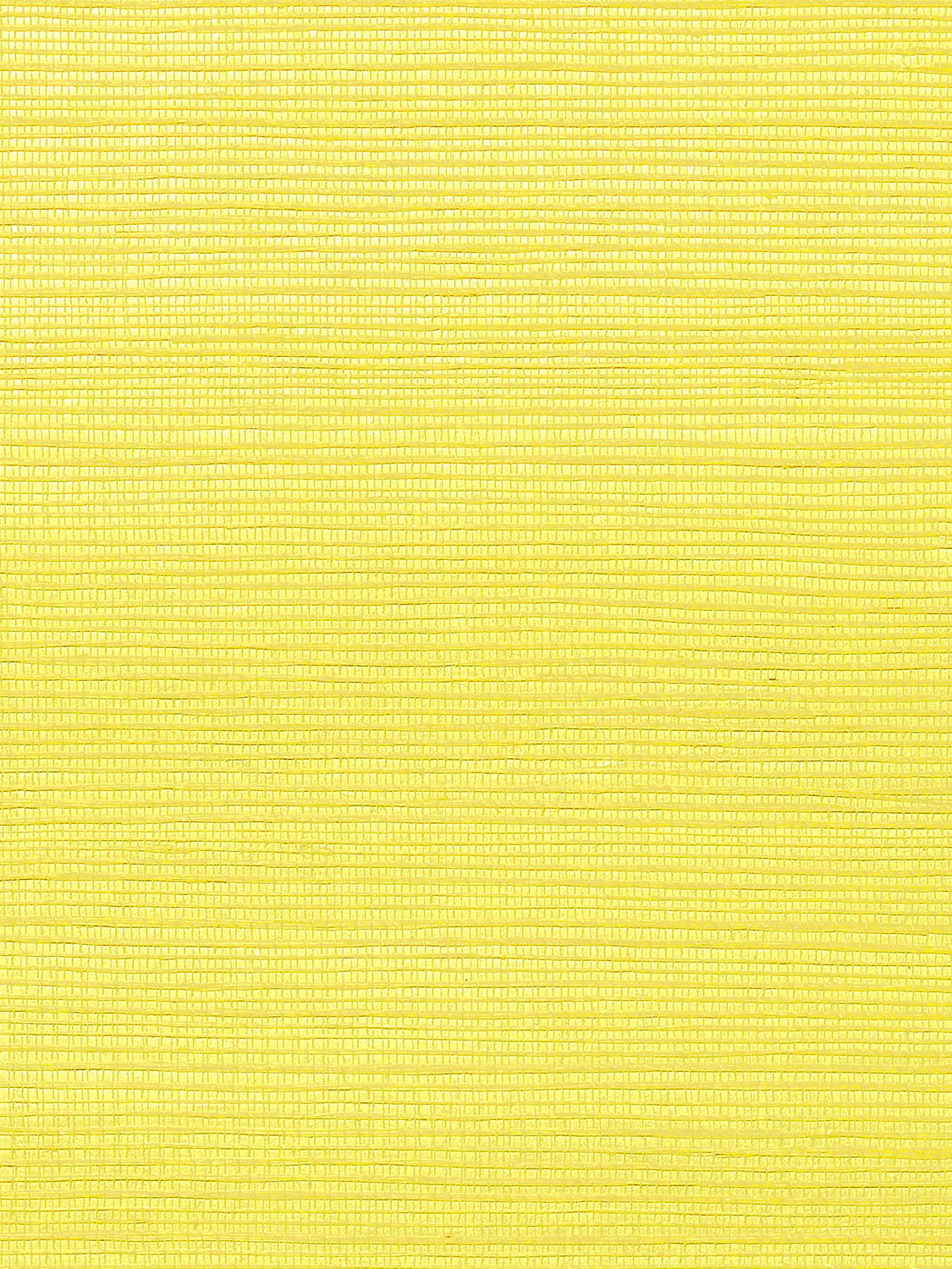 Metallica Grasscloth Citron, Per Yard - nicolettemayer.com