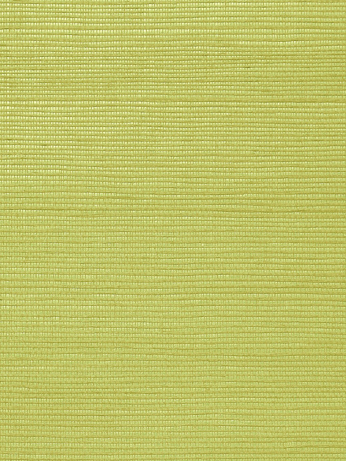 Metallica Grasscloth Fennel Seed, Per Yard - nicolettemayer.com