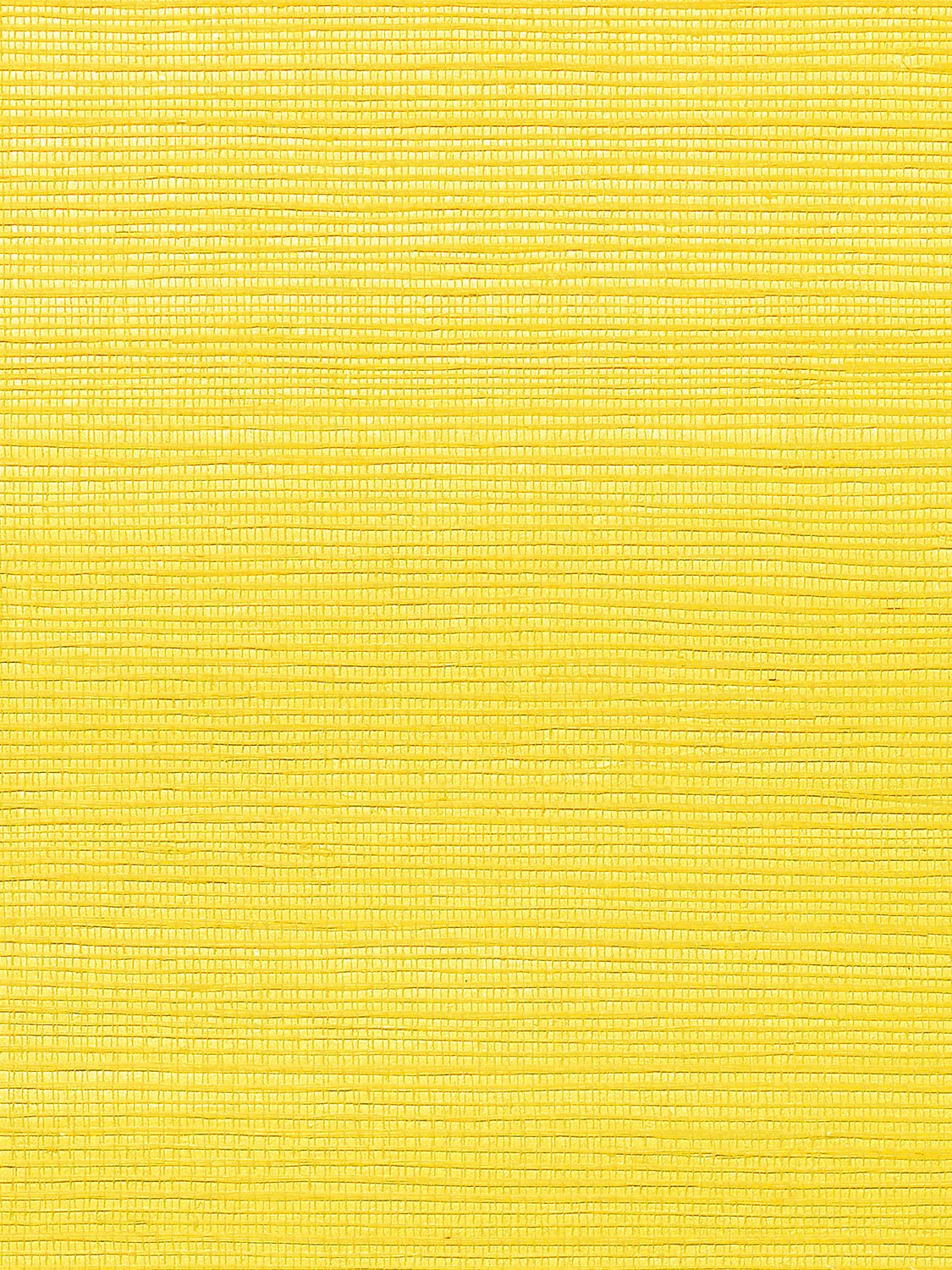 Metallica Grasscloth Freesia, Per Yard - nicolettemayer.com