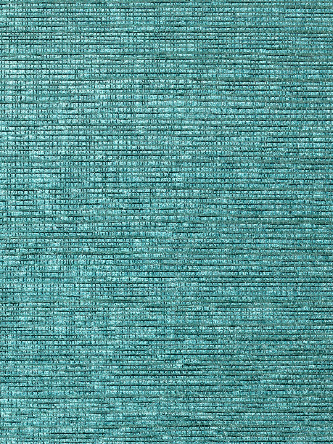 Metallica Grasscloth Starry Night, Per Yard - nicolettemayer.com