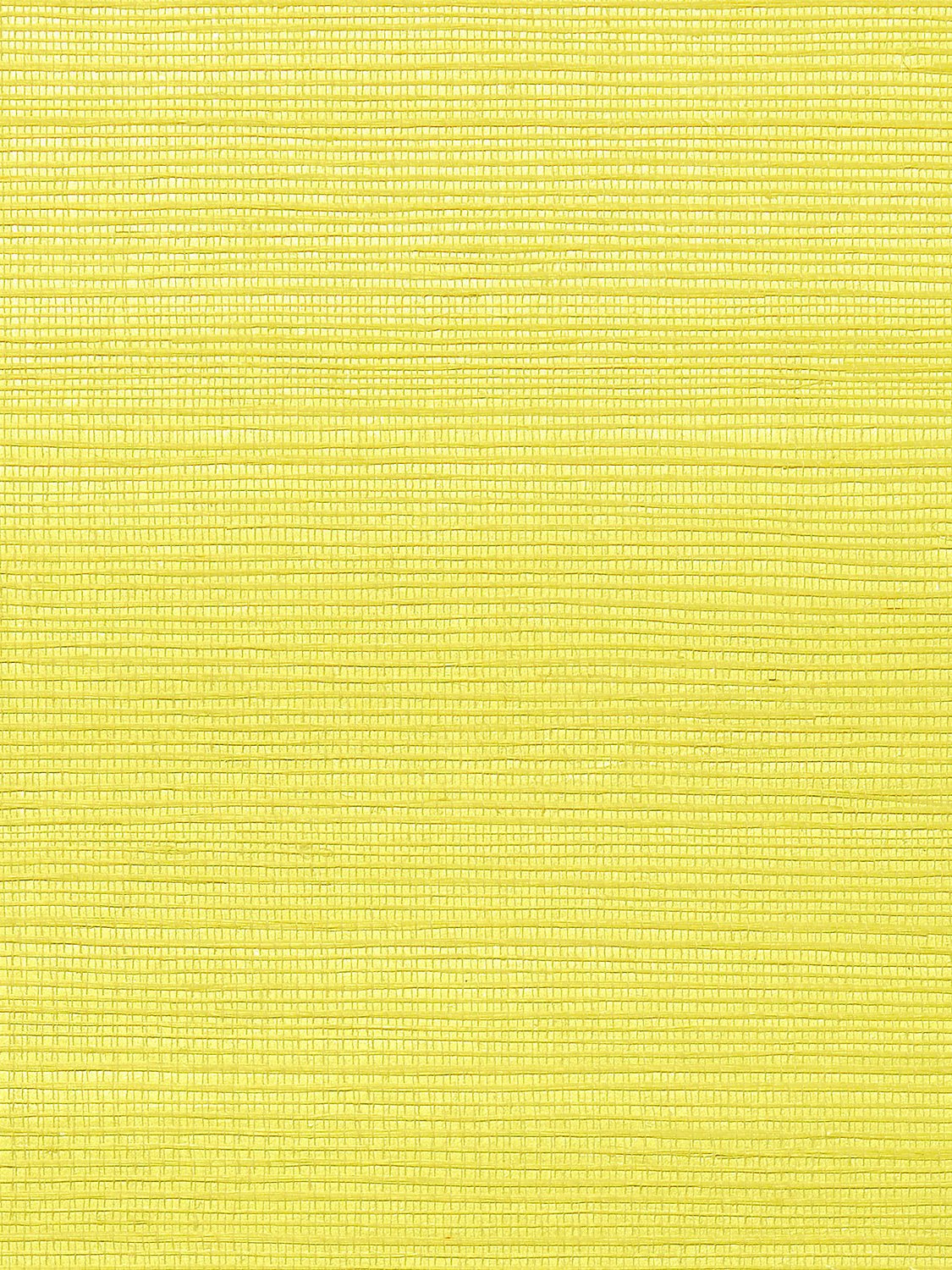 Metallica Grasscloth Sunshine, Per Yard - nicolettemayer.com