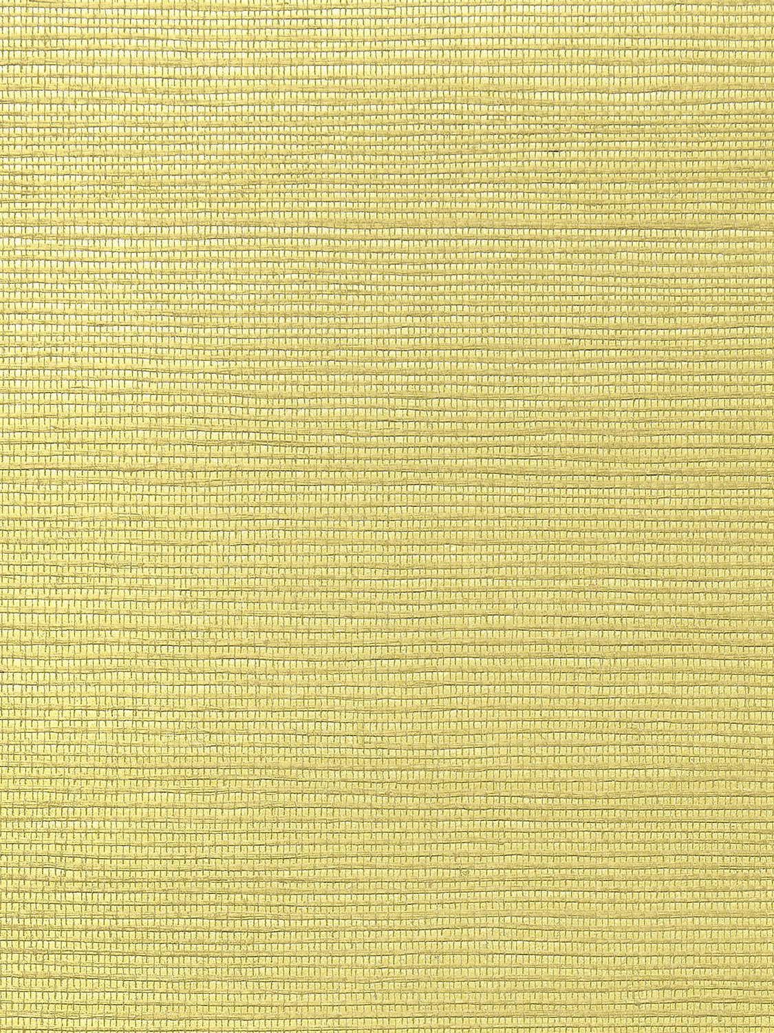 Metallica Grasscloth Toast, Per Yard - nicolettemayer.com