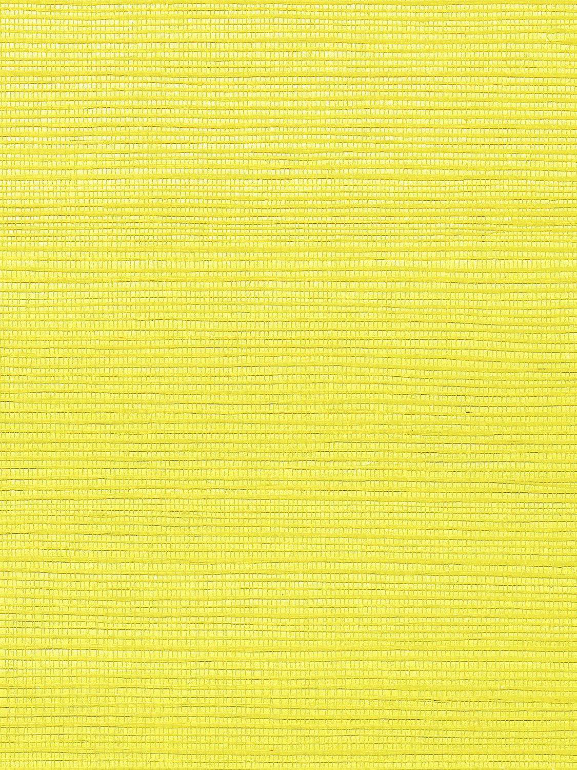 Metallica Grasscloth Yolk, Per Yard - nicolettemayer.com