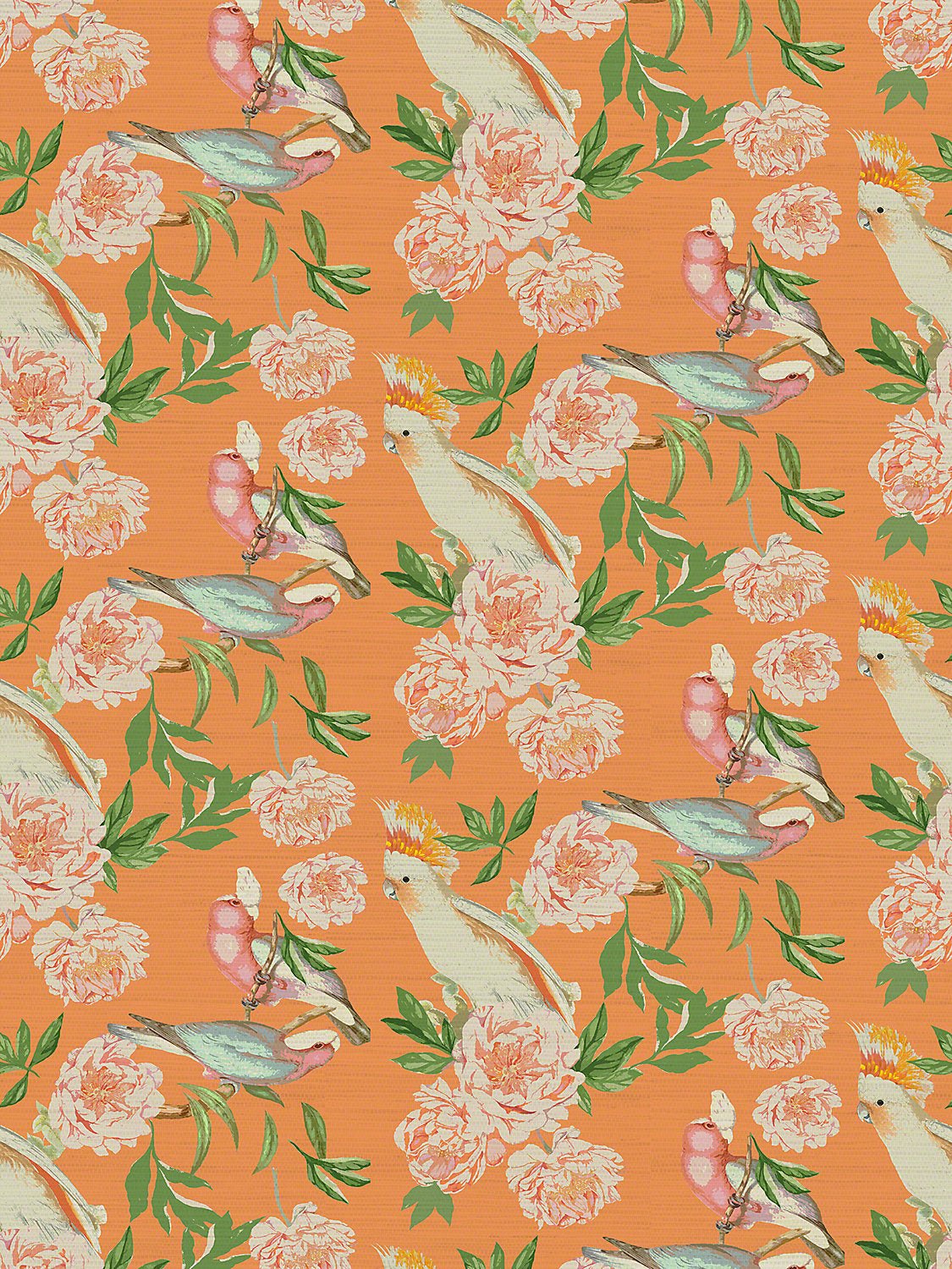Peony Inspira Bellini Wallpaper, Per Yard - nicolettemayer.com