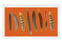 Pheasant Feathers Orange 22.5X14.5 Acrylic Tray - nicolettemayer.com