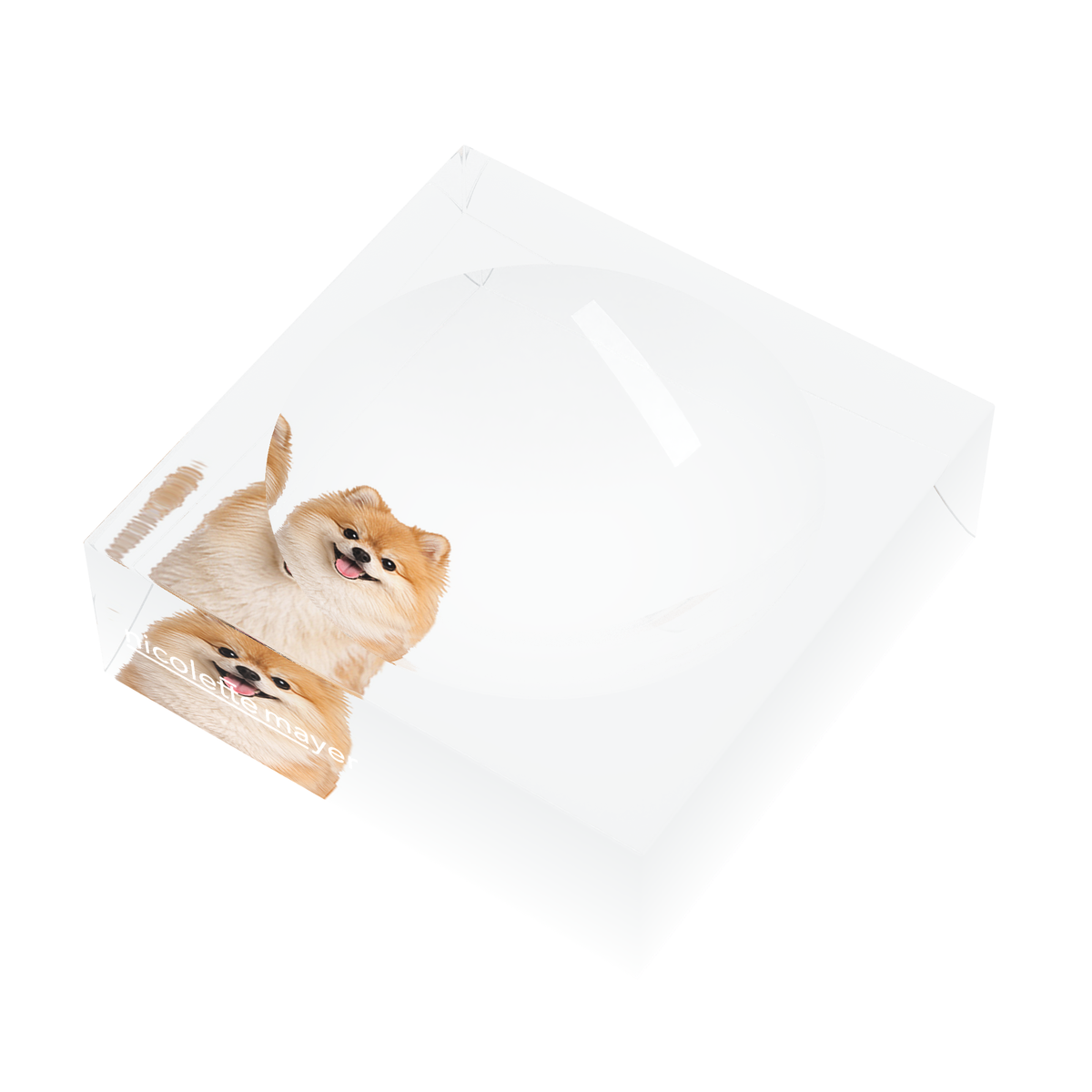 Pomeranian Dog Acrylic Candy Catchall Dish, right three-quarter, by Nicolette Mayer