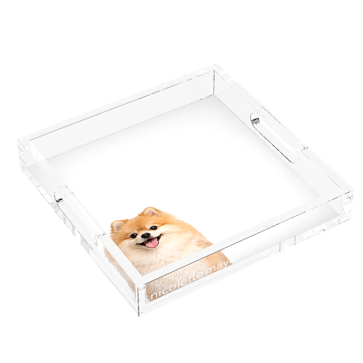 Pomeranian Dog Acrylic Decorative Tray, left three-quarter, by Nicolette Mayer