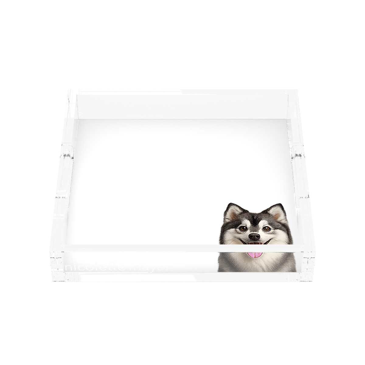 Pomsky Dog Acrylic Decorative Tray, front, by Nicolette Mayer