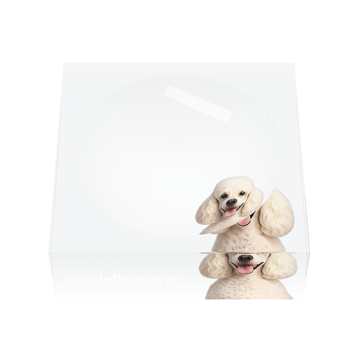 Poodle Dog Acrylic Candy Catchall Dish, front, by Nicolette Mayer