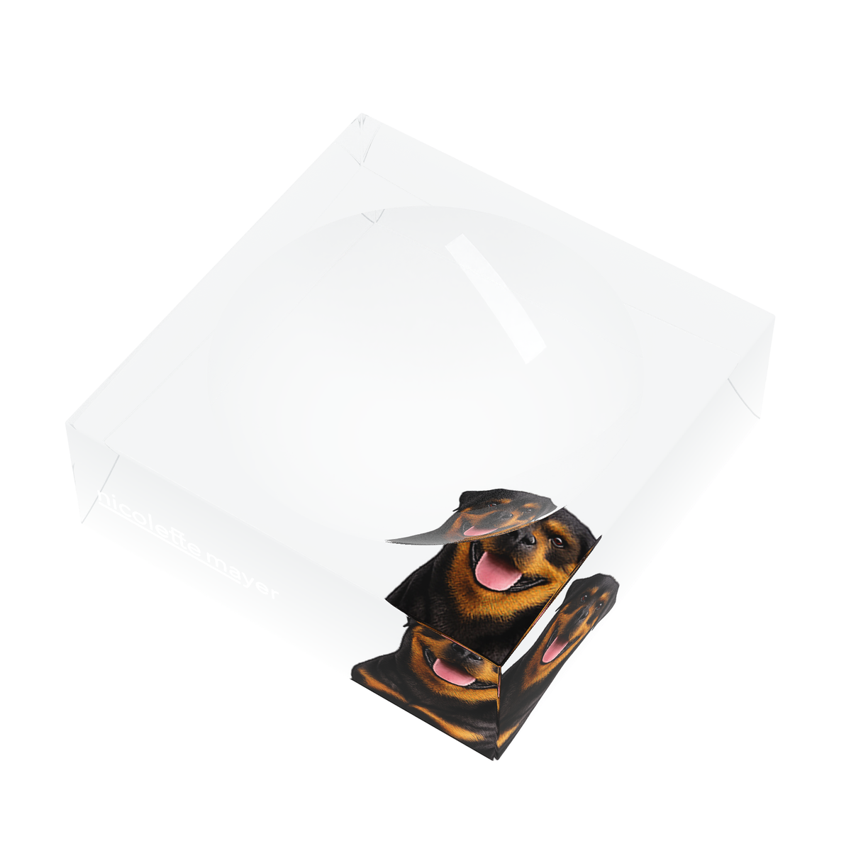 Rottweiler Dog Acrylic Candy Catchall Dish, right three-quarter, by Nicolette Mayer