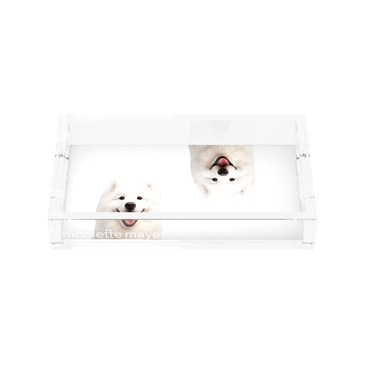 Samoyed Dog Acrylic Rectangle Tray, front, by Nicolette Mayer