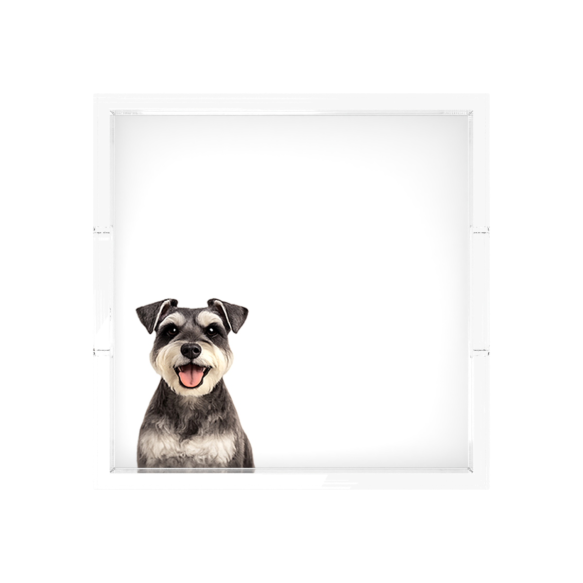 Schnauzer Dog Acrylic Decorative Tray, overhead, by Nicolette Mayer