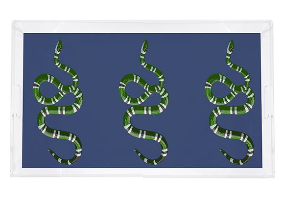 Serpent Blue 22.5X14.5 Acrylic Tray - nicolettemayer.com