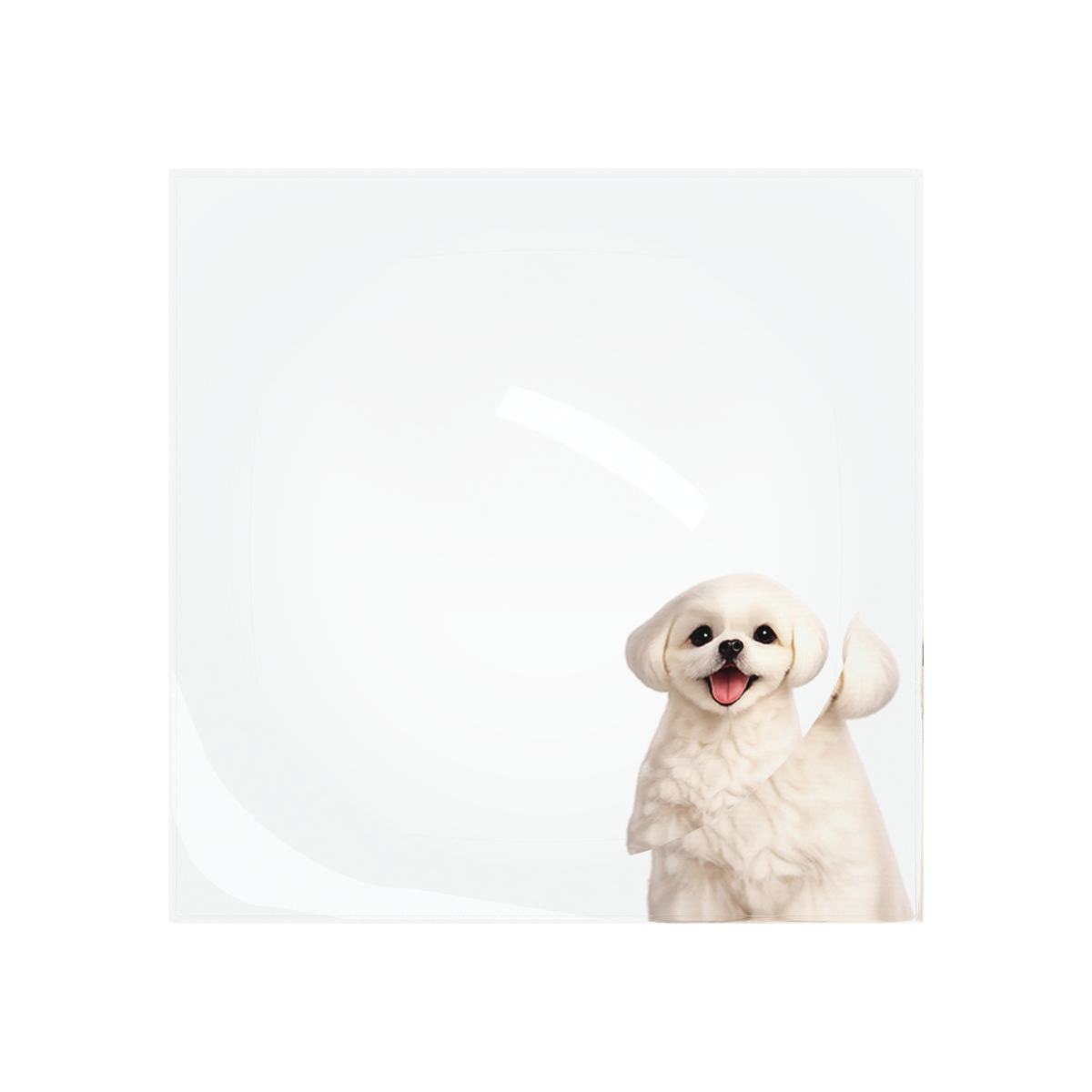 Shih Tzu Dog Acrylic Candy Catchall Dish, overhead, by Nicolette Mayer