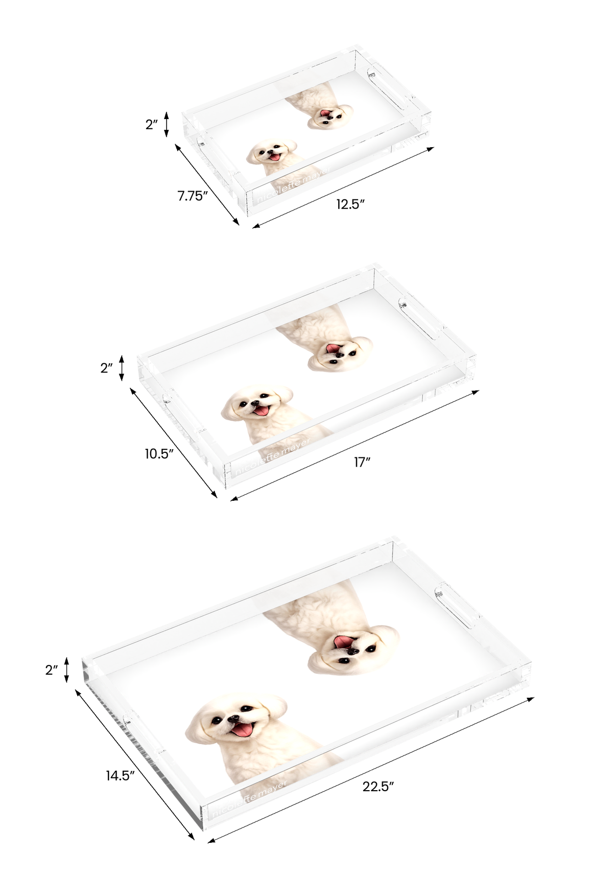 Shih Tzu Dog Acrylic Rectangle Tray, all three sizes, by Nicolette Mayer