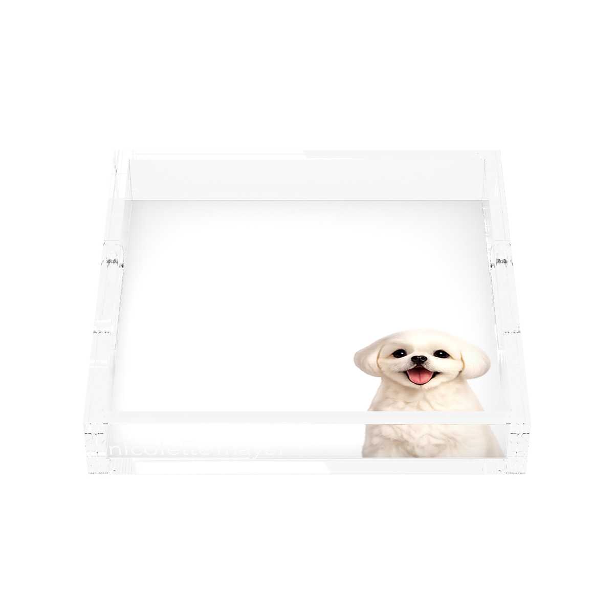 Shih Tzu Dog Acrylic Decorative Tray, front, by Nicolette Mayer