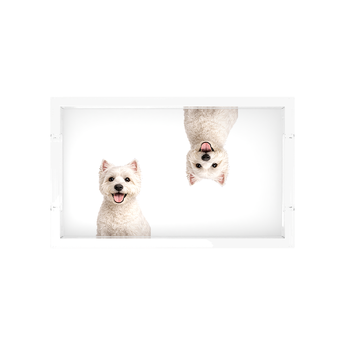Westie Dog Acrylic Rectangle Tray, overhead, by Nicolette Mayer