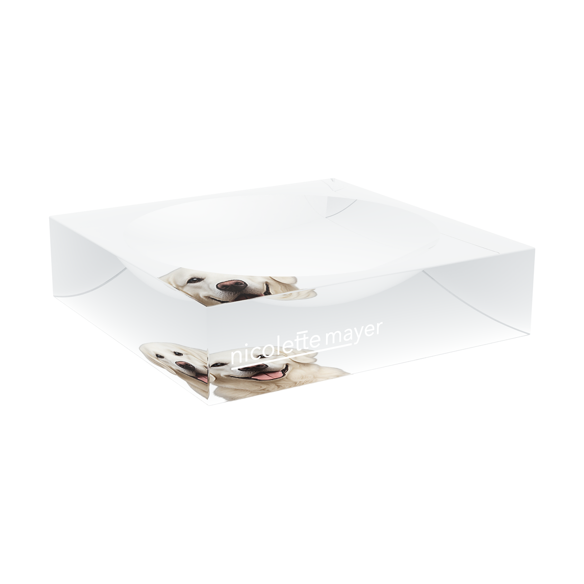 White Lab Dog Acrylic Candy Catchall Dish, large dish at an angle, by Nicolette Mayer