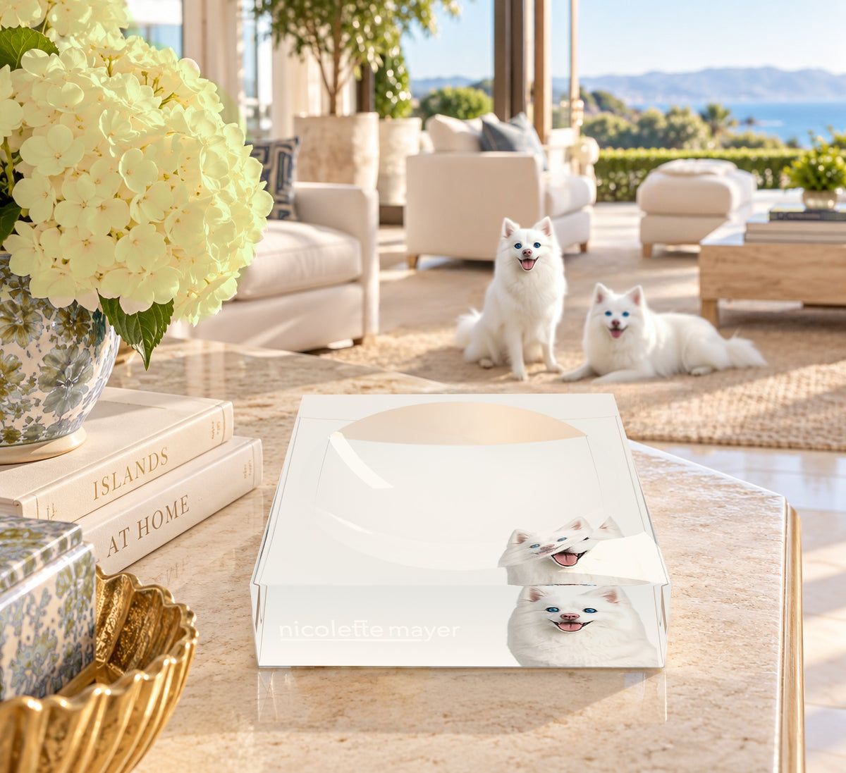White Pomsky Dog Acrylic Candy Catchall Dish, on a coffee table, by Nicolette Mayer