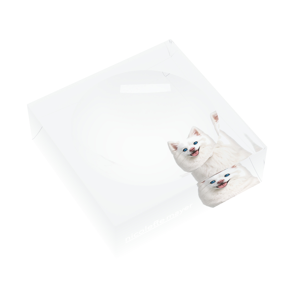 White Pomsky Dog Acrylic Candy Catchall Dish, left three-quarter, by Nicolette Mayer