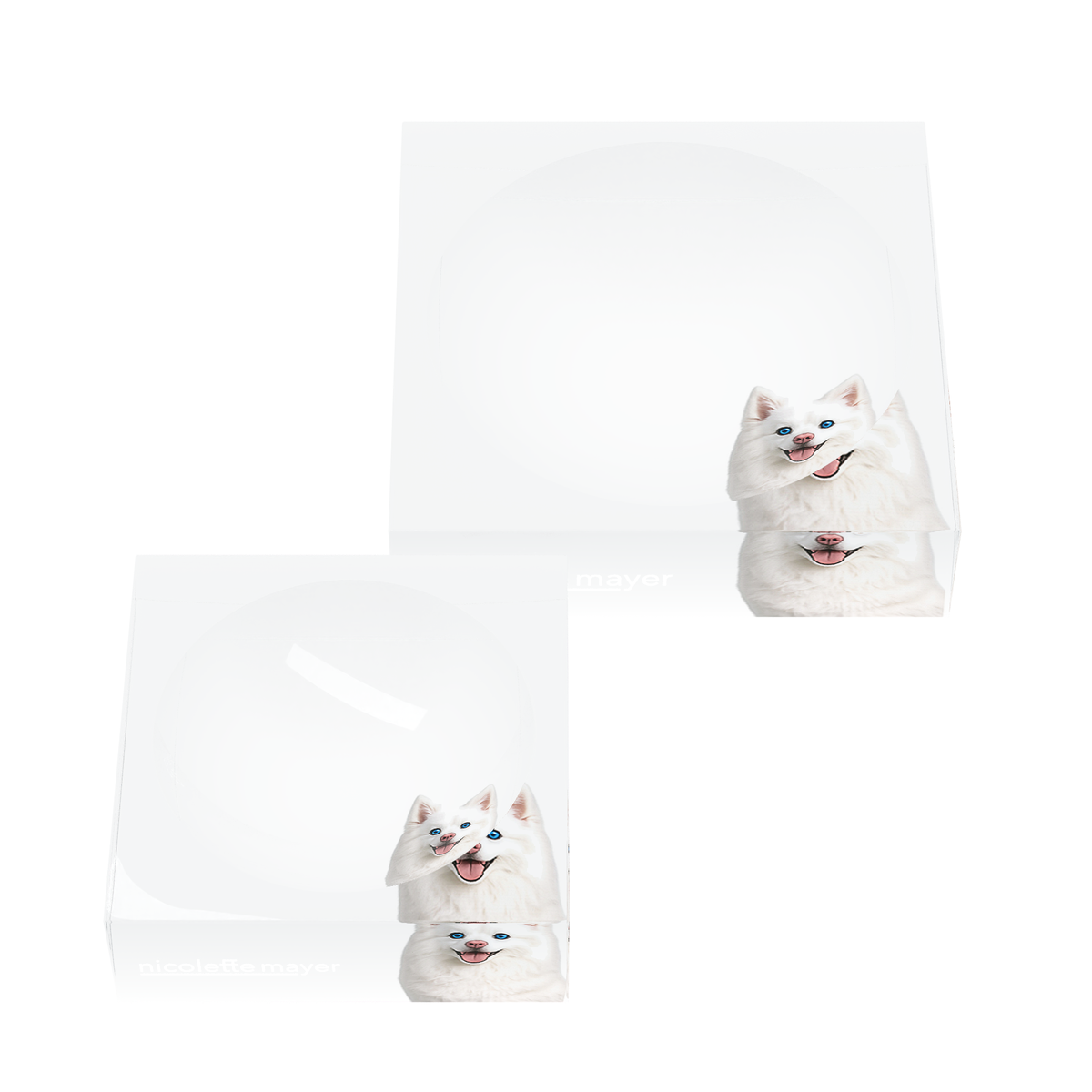 White Pomsky Dog Acrylic Candy Catchall Dish, set of two, by Nicolette Mayer