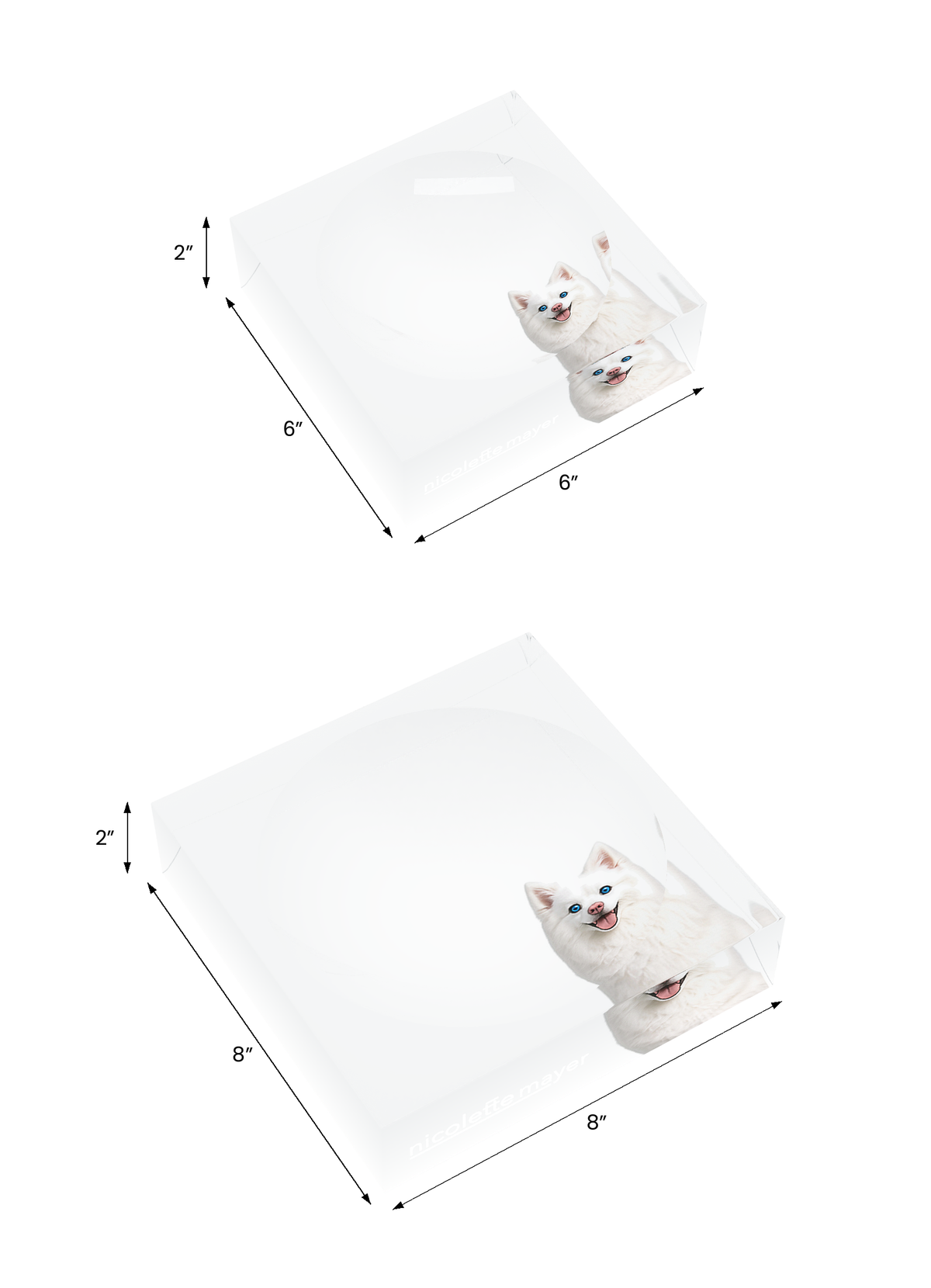 White Pomsky Dog Acrylic Candy Catchall Dish, both sizes, by Nicolette Mayer