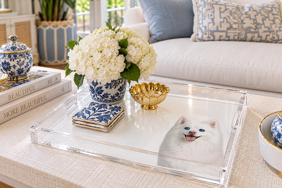 White Pomsky Dog Acrylic Decorative Tray, on a coffee table, by Nicolette Mayer