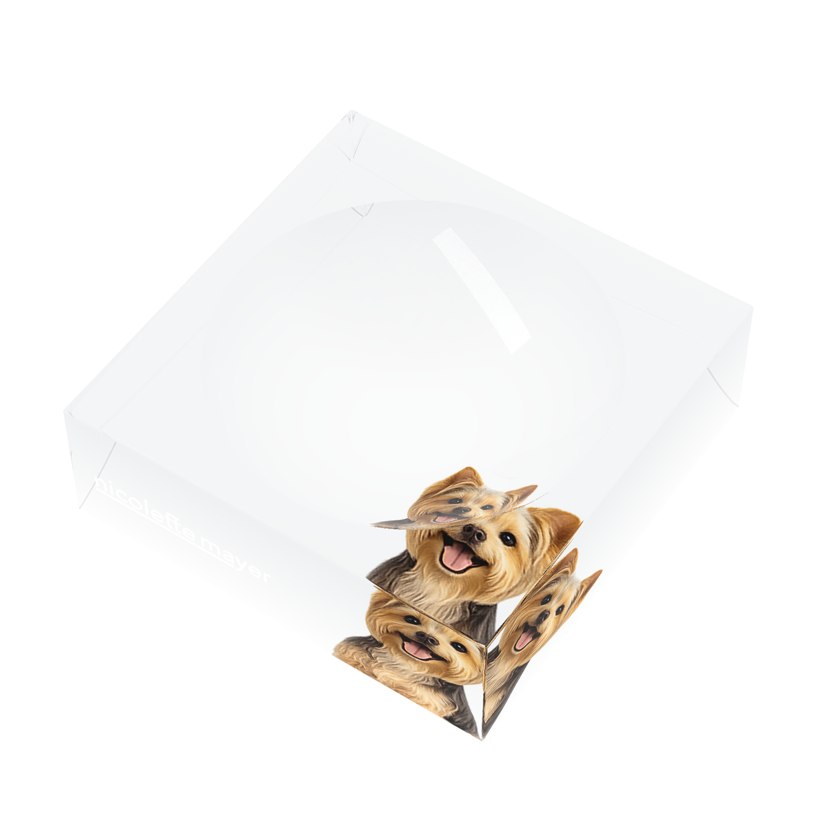 Yorkie Dog Acrylic Candy Catchall Dish, right three-quarter, by Nicolette Mayer