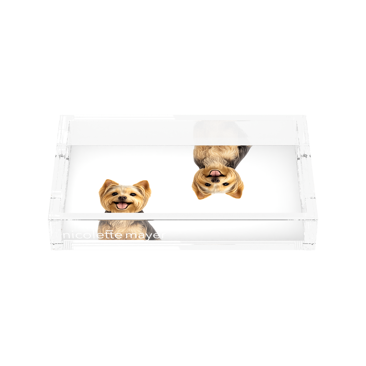 Yorkie Dog Acrylic Rectangle Tray, front, by Nicolette Mayer