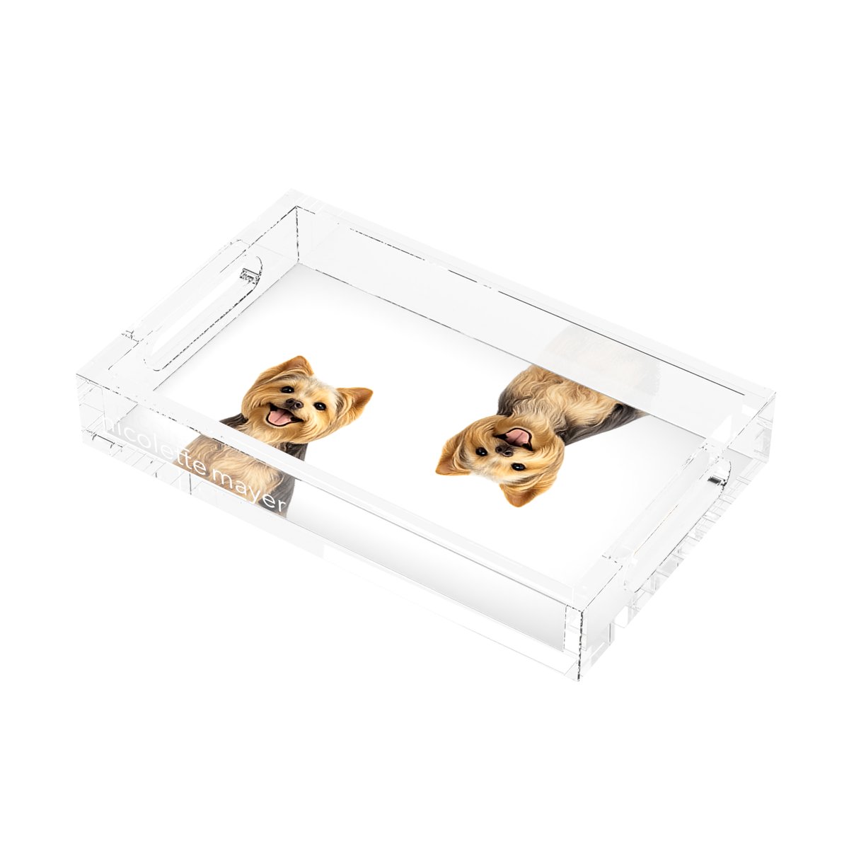 Yorkie Dog Acrylic Rectangle Tray, right three-quarter, by Nicolette Mayer