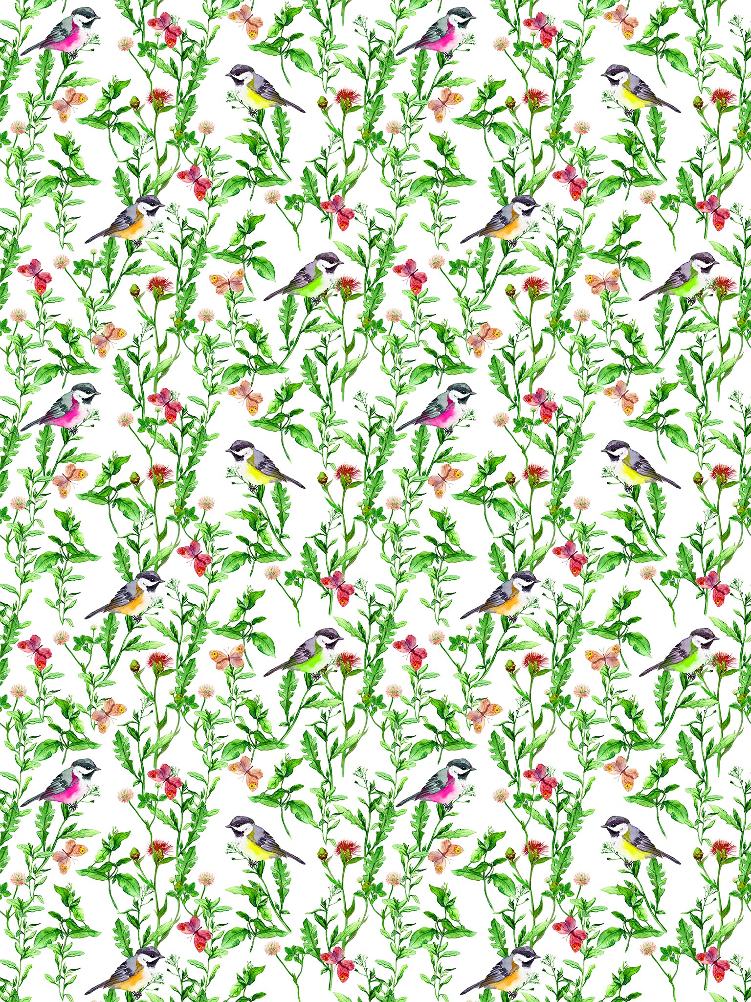 Aviary Original Wallpaper - nicolettemayer.com
